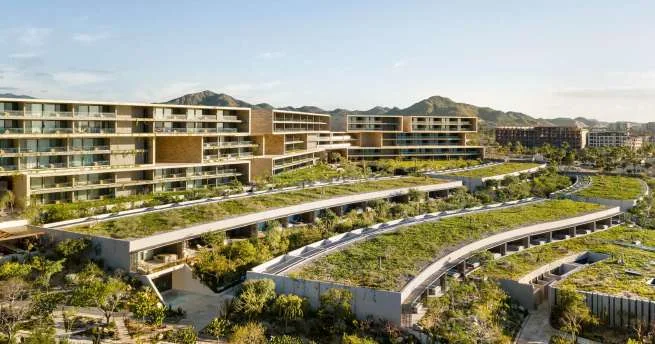 Sordo Madaleno project